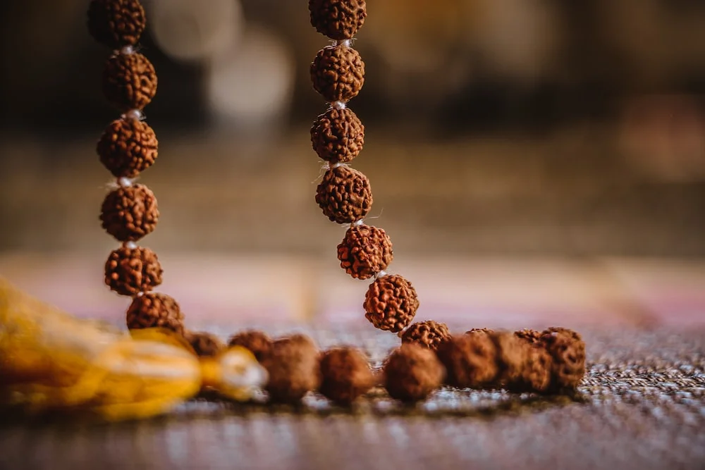 WHAT IS RUDRAKSHA